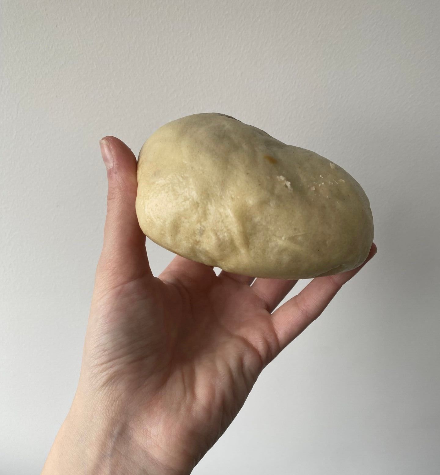 Een foto van een bapao broodje